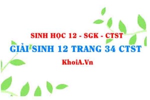 Giải Sinh 12 trang 34 Chân trời Sáng tạo